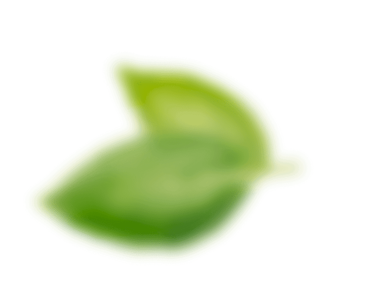 intro